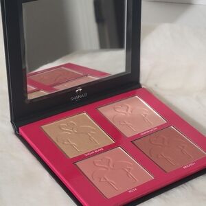 Shaina B Miami Blush and Highlighter Palette - Gold and Pink Shades